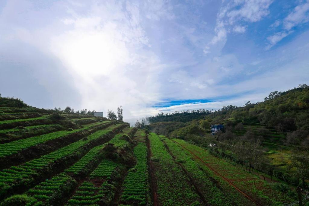 Starlight Hotels Kodai Kodaikanal Eksteriør billede