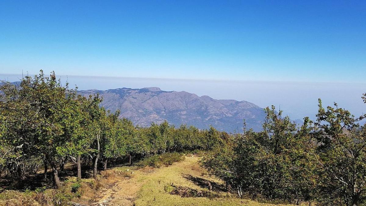 Starlight Hotels Kodai Kodaikanal Eksteriør billede